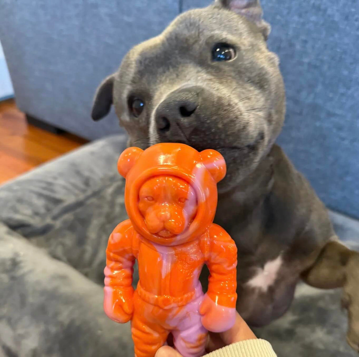 Astro Pup