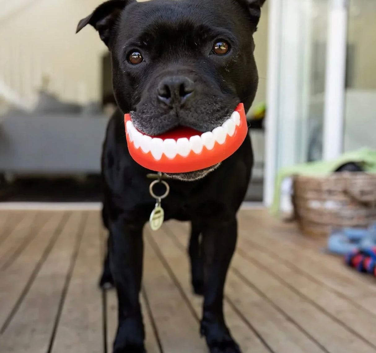 Chatter Chompers