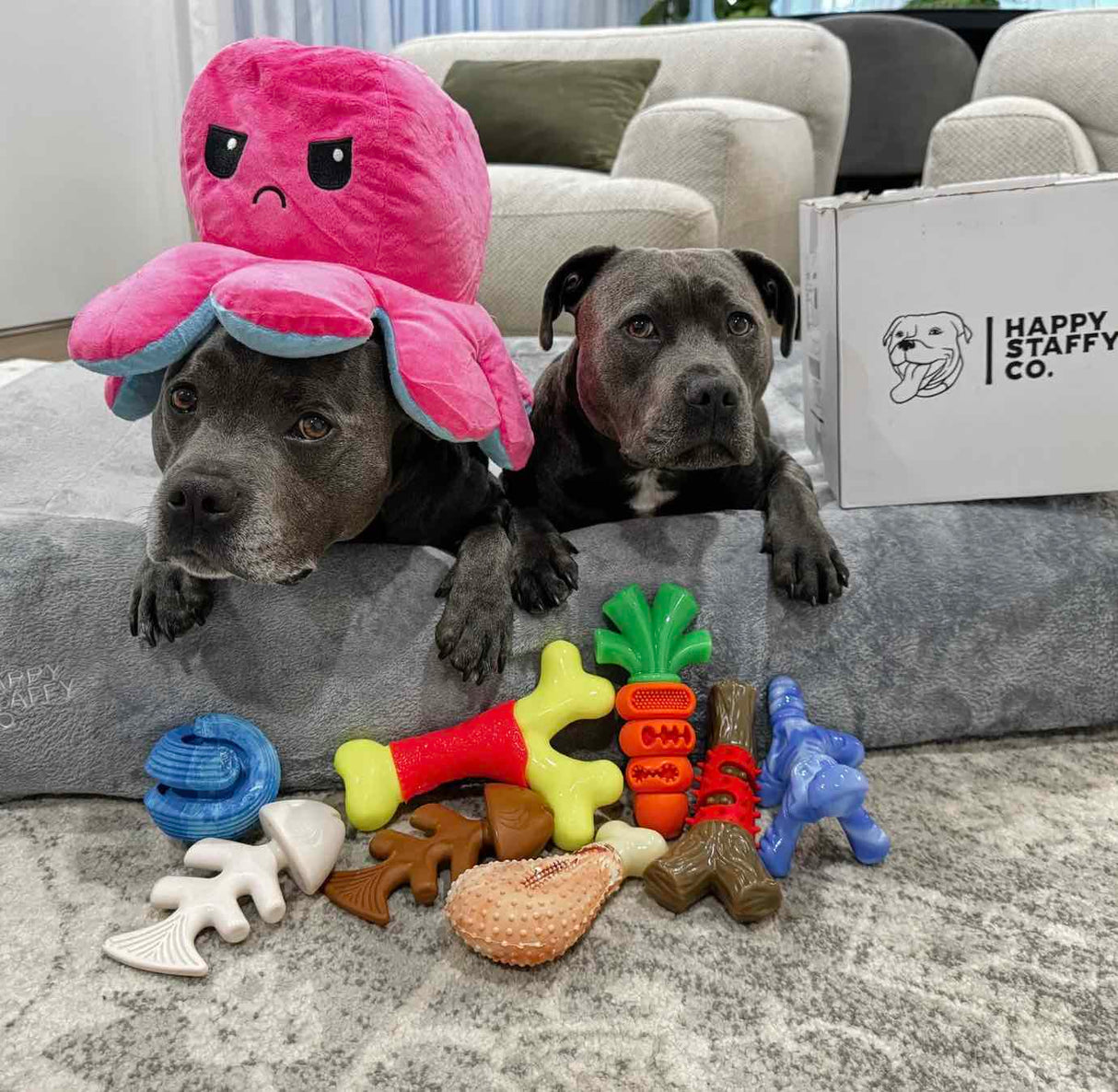 Chewzilla Gator - "The Toughest Chew Toys on the Planet"