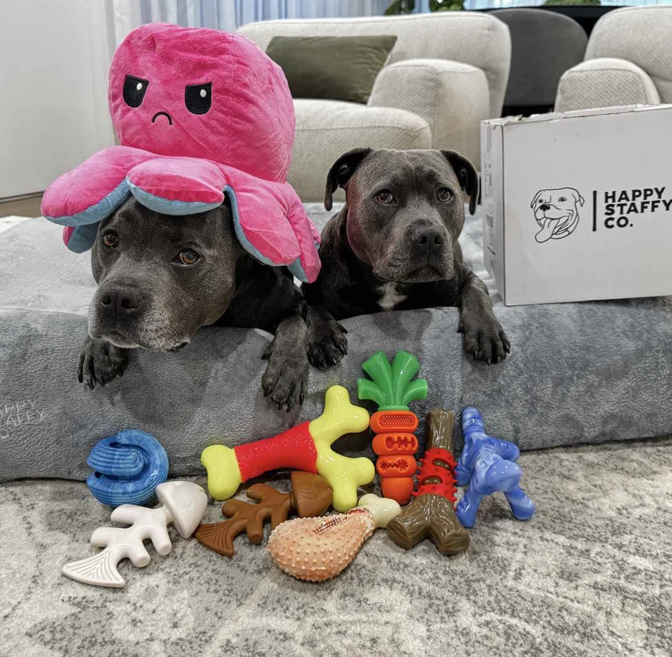Chewzilla Gator - "The Toughest Chew Toys on the Planet"