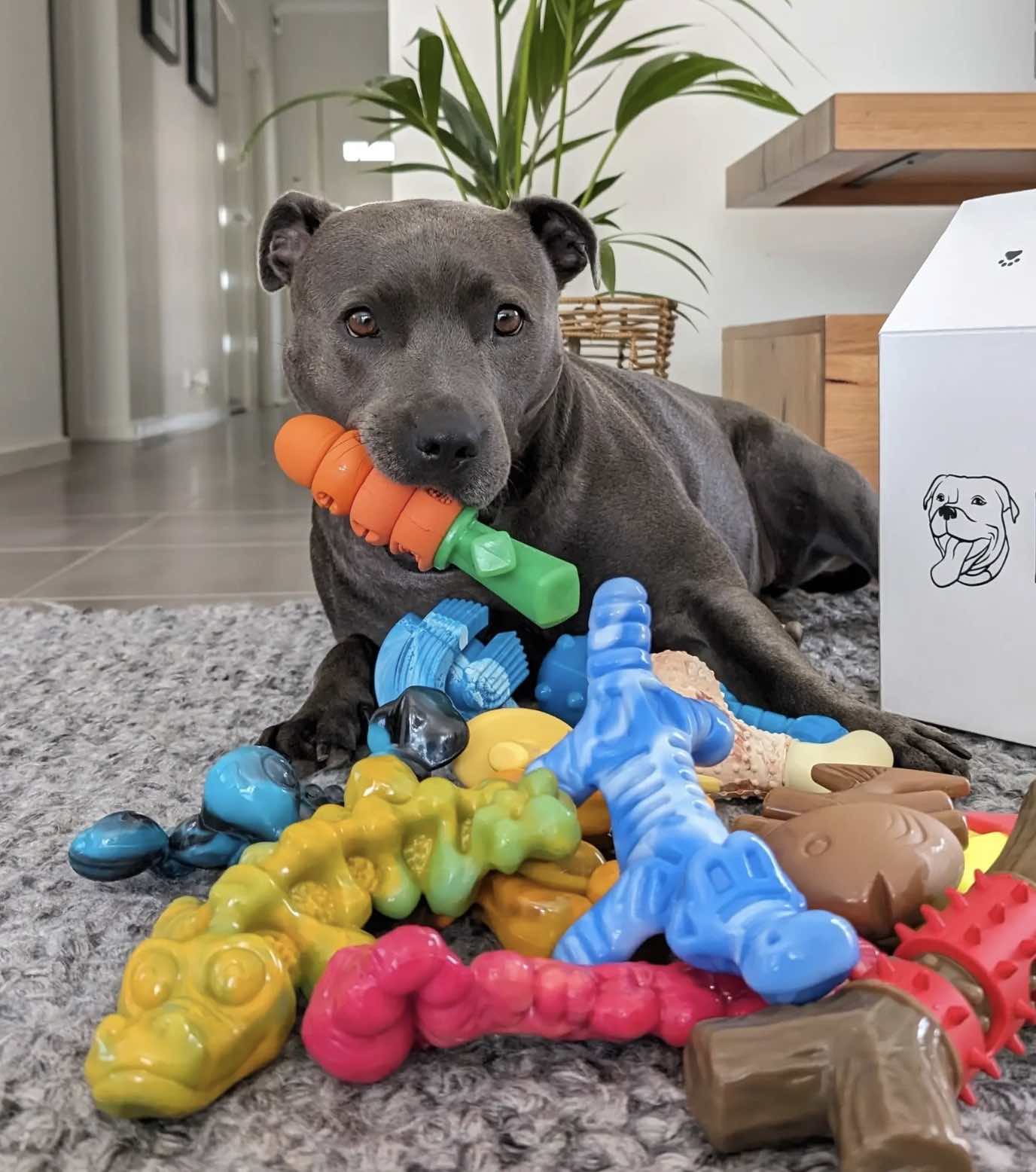 Chewzilla Gator - "The Toughest Chew Toys on the Planet"