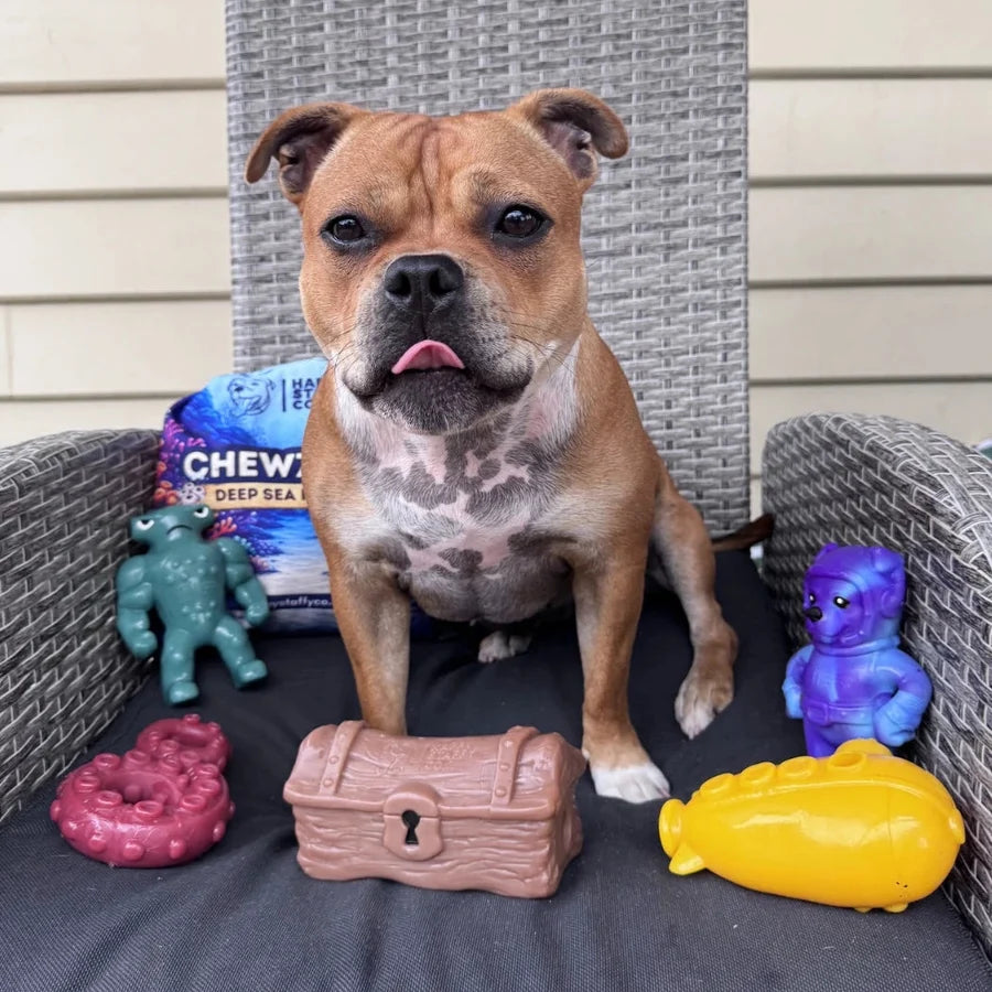 Chewzilla® Deep Sea Mission (5 Toys included)