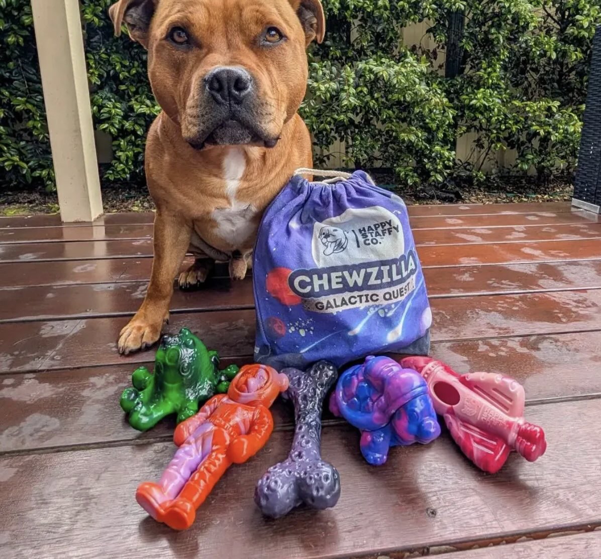 Chewzilla® Galactic Quest Collection