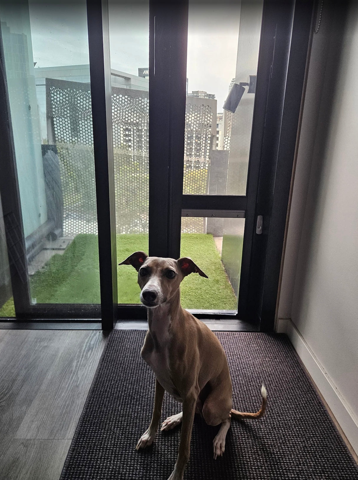 Pet Door Insert – Large