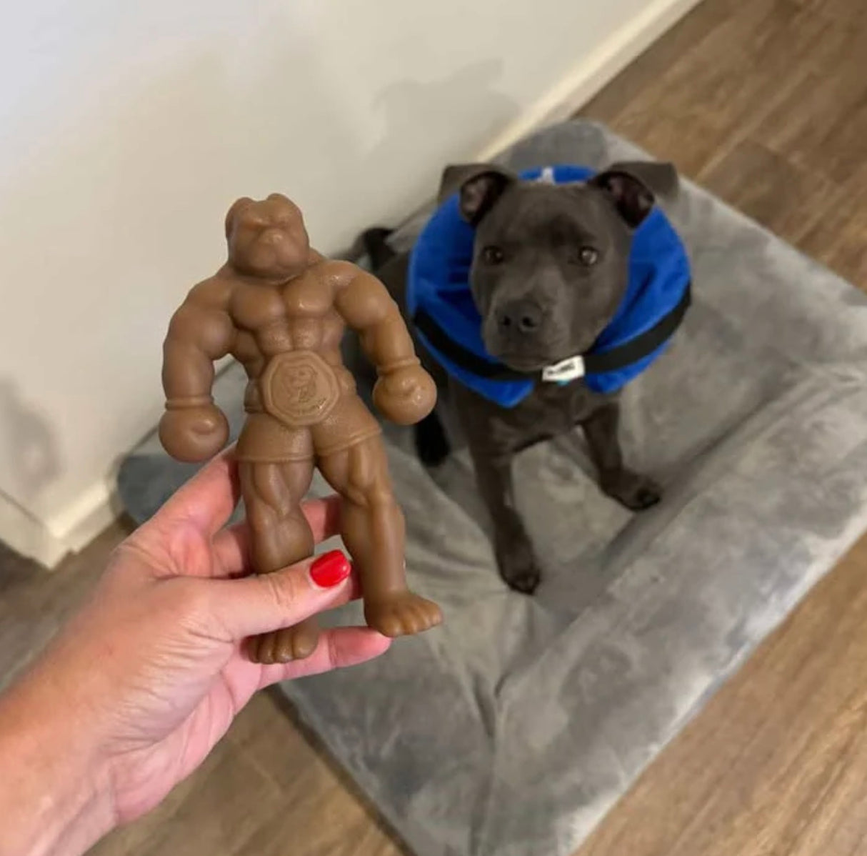 STAFFY BALBOA