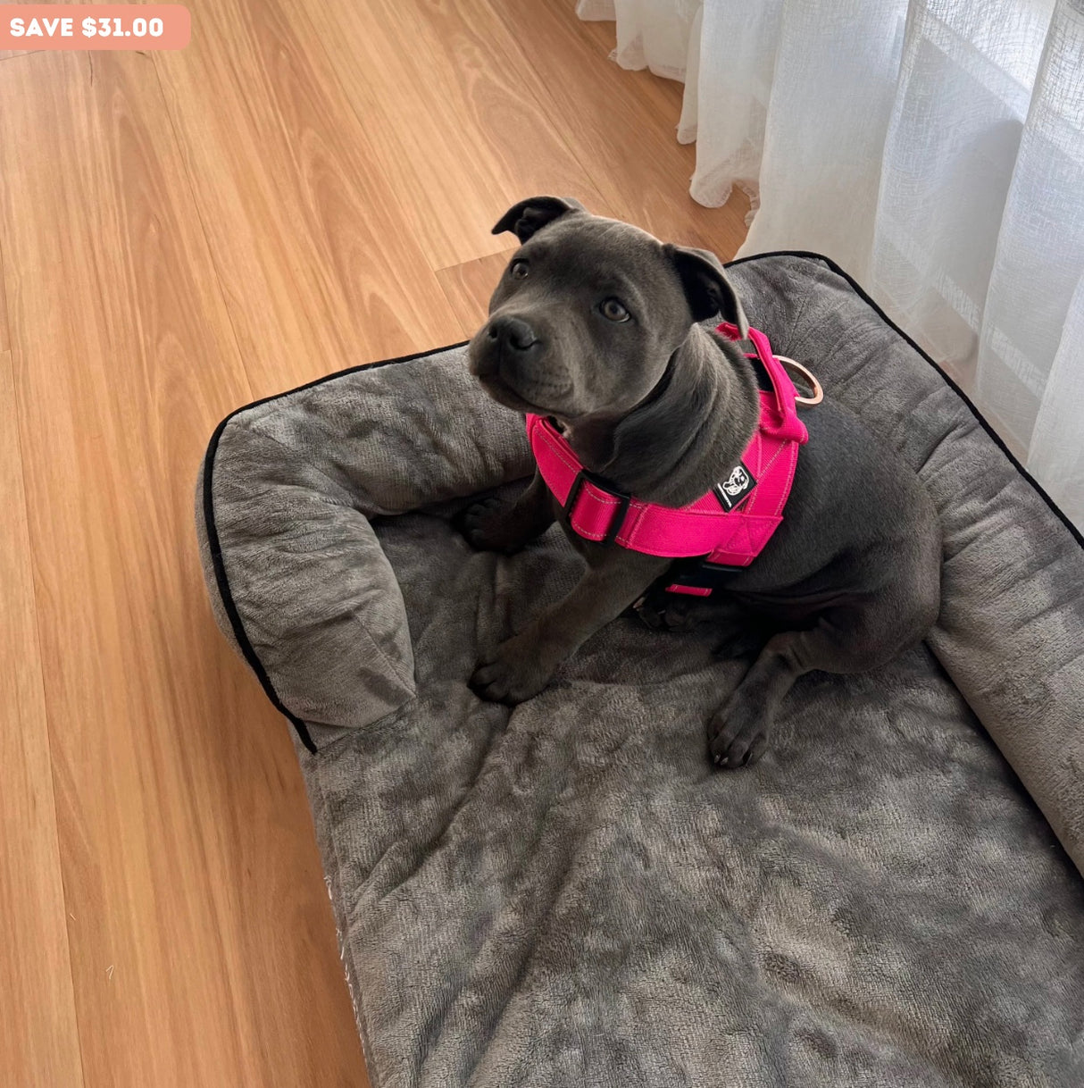 Calming Day Bed - Medium