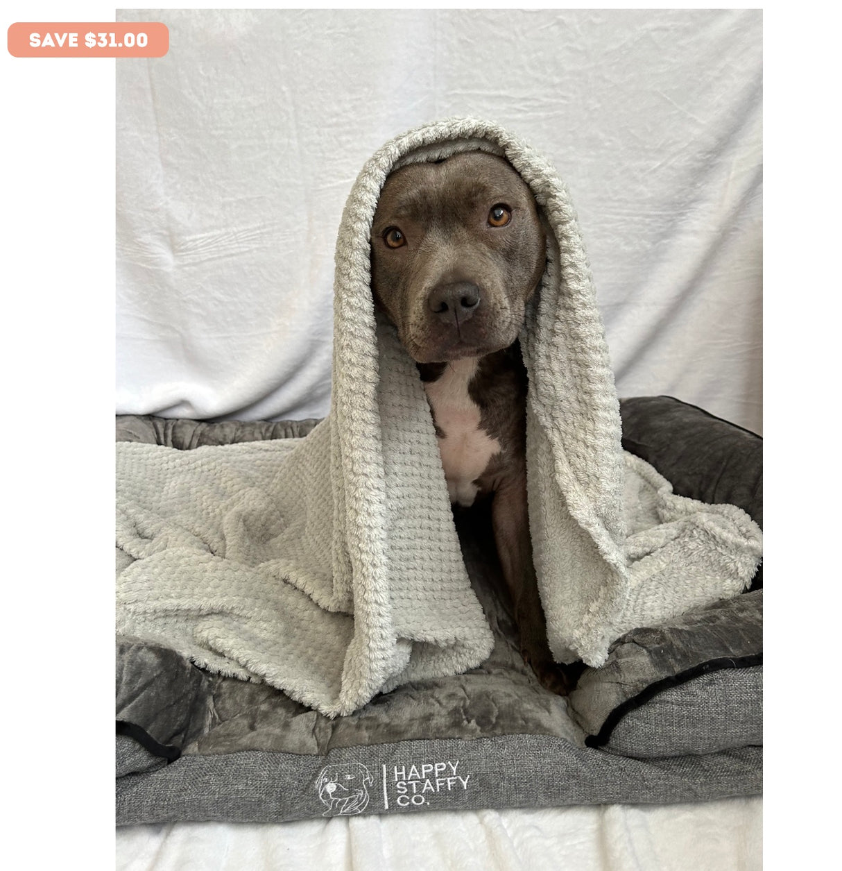 Calming Day Bed - Medium