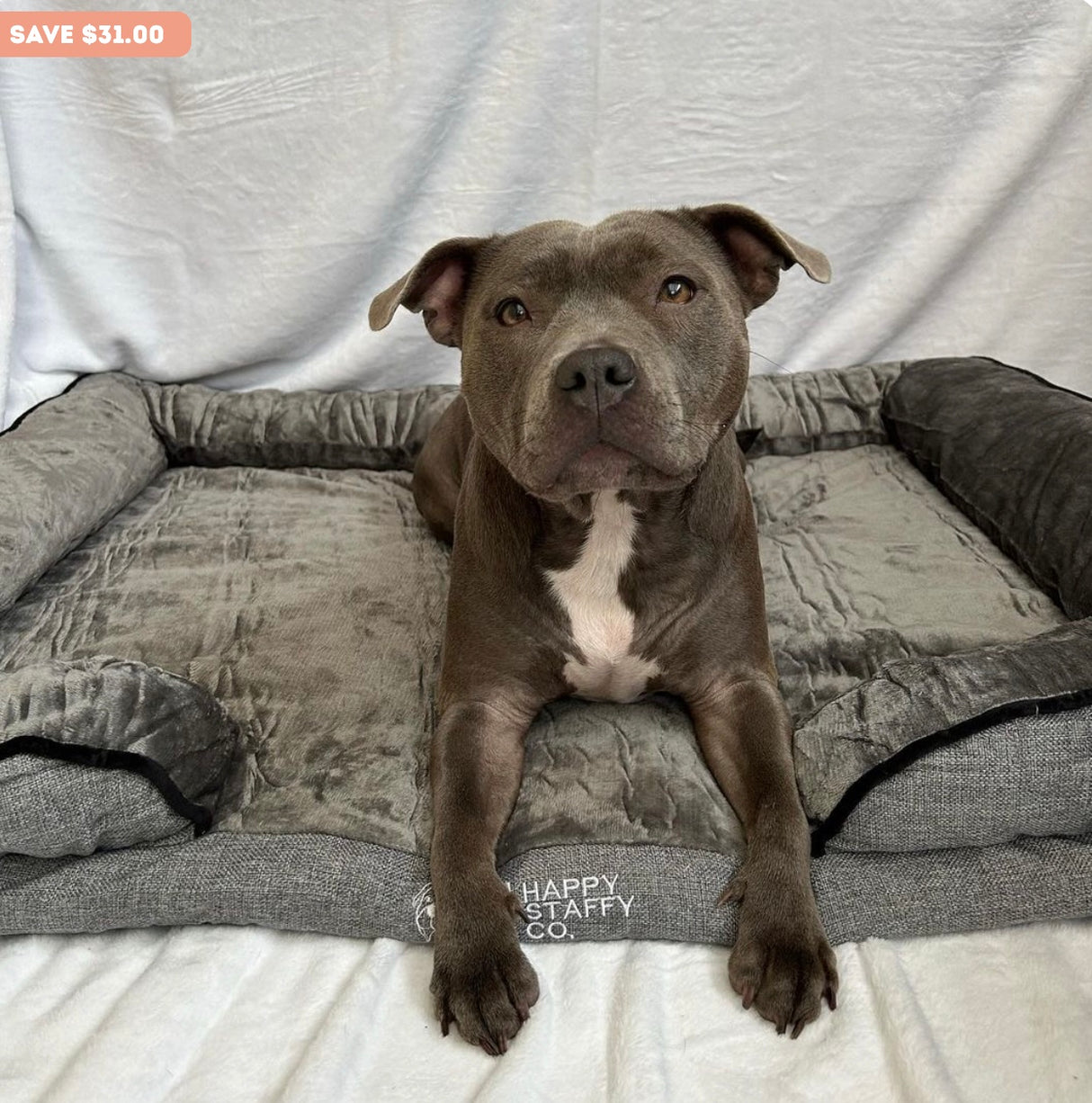 Calming Day Bed - Medium