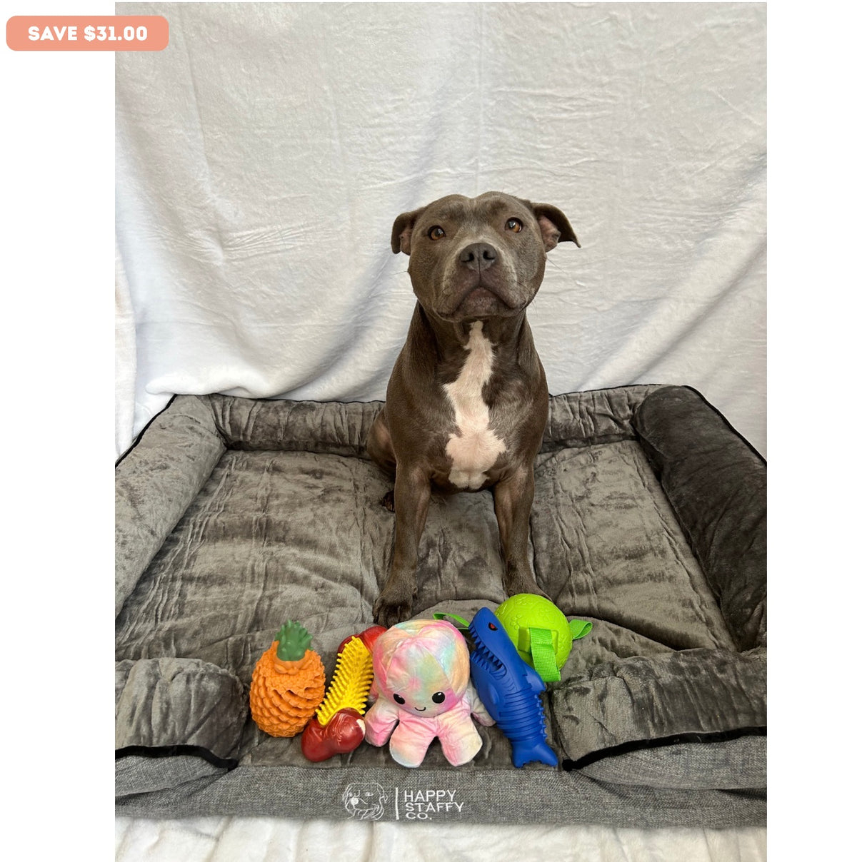 Calming Day Bed - Medium