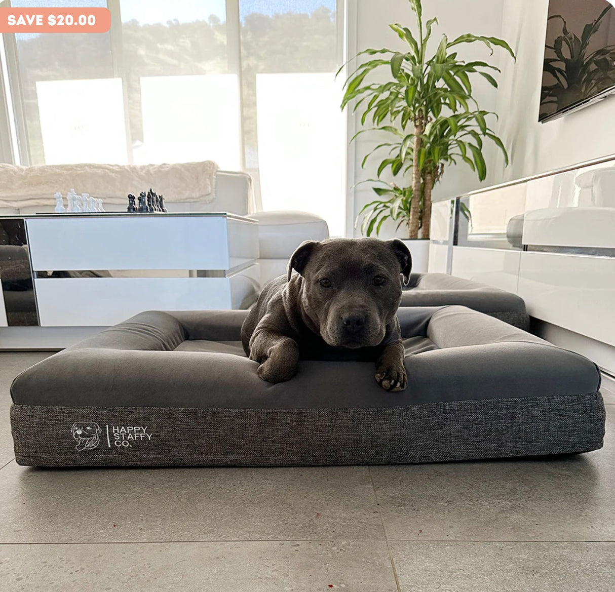 Deluxe Orthopedic Memory Foam Bed, Large