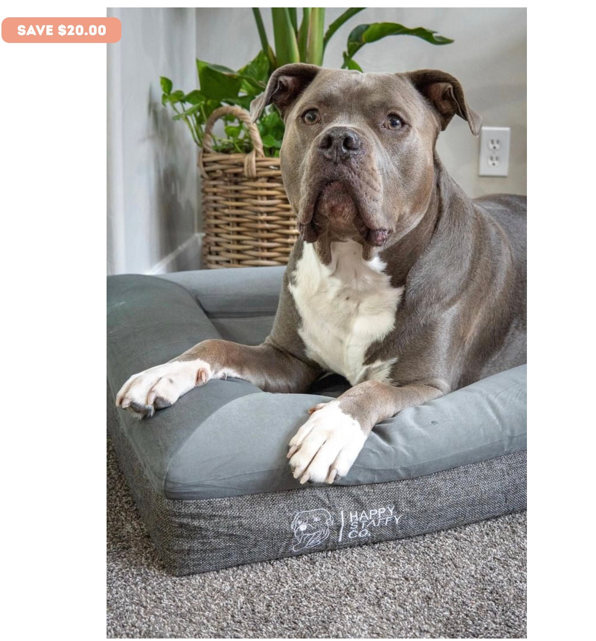 Deluxe Orthopedic Memory Foam Bed, Large