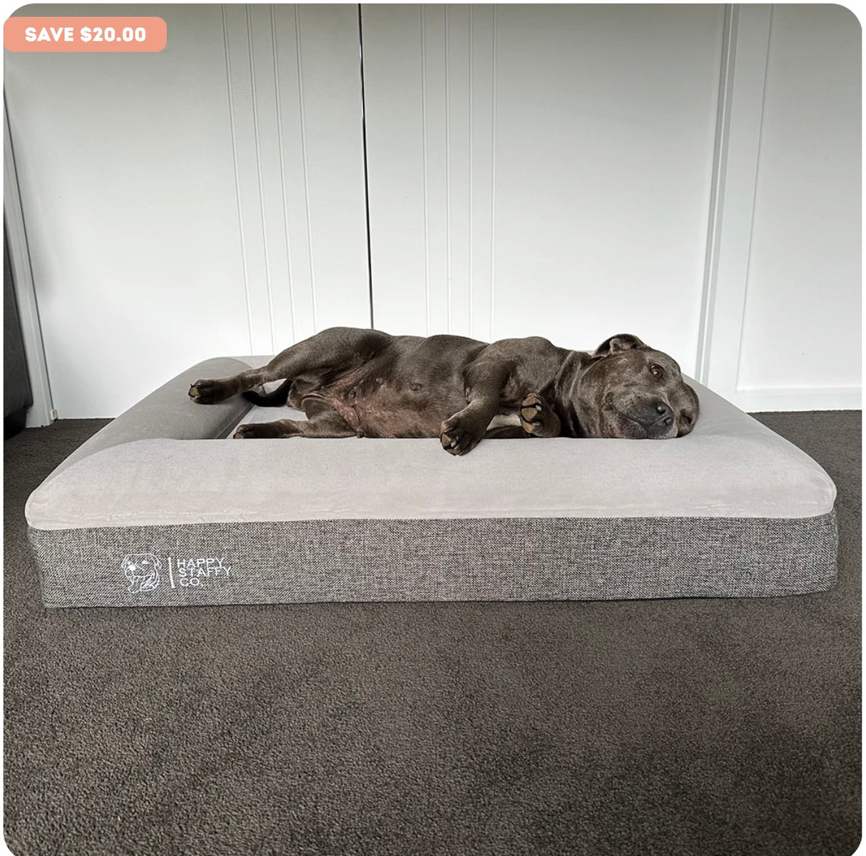 Deluxe Orthopedic Memory Foam Bed, Large