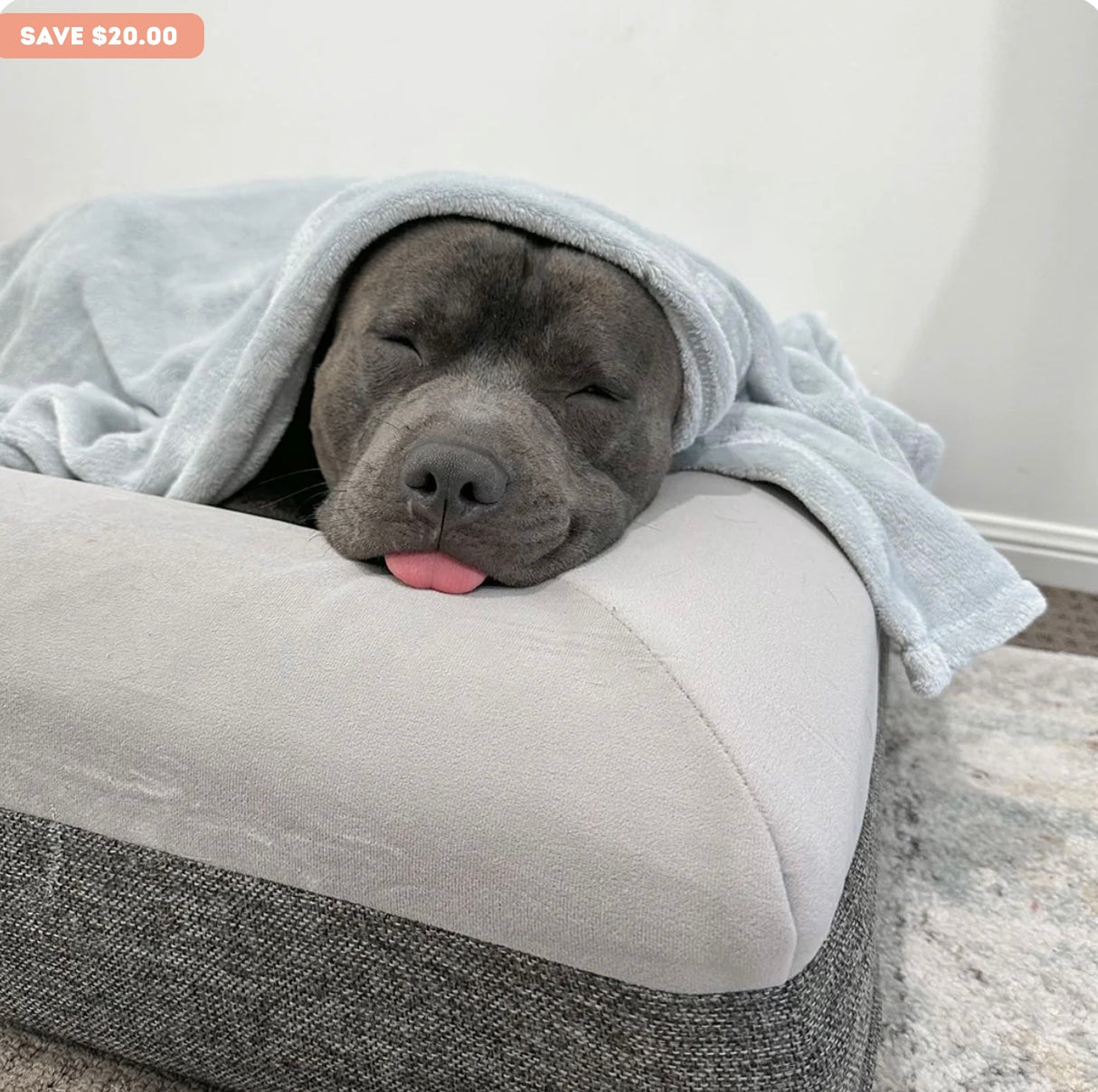 Deluxe Orthopedic Memory Foam Bed, Large