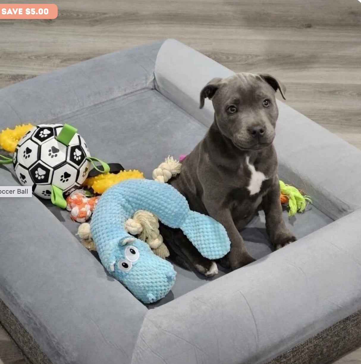 Ronaldog Soccer Ball