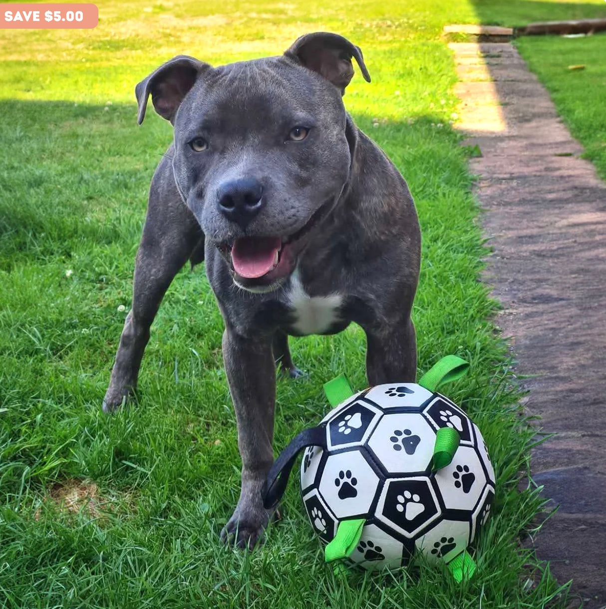 Ronaldog Soccer Ball