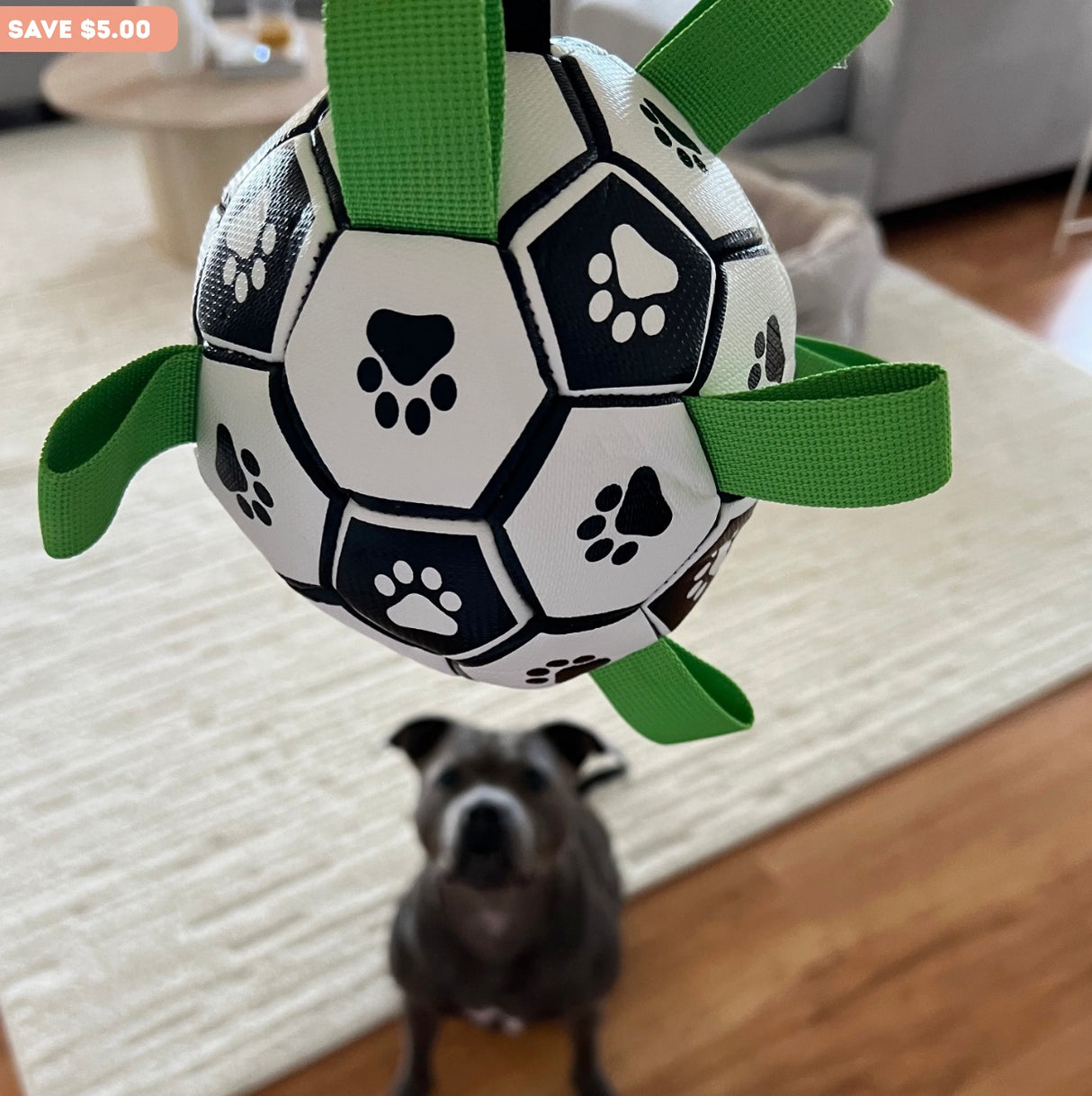 Ronaldog Soccer Ball