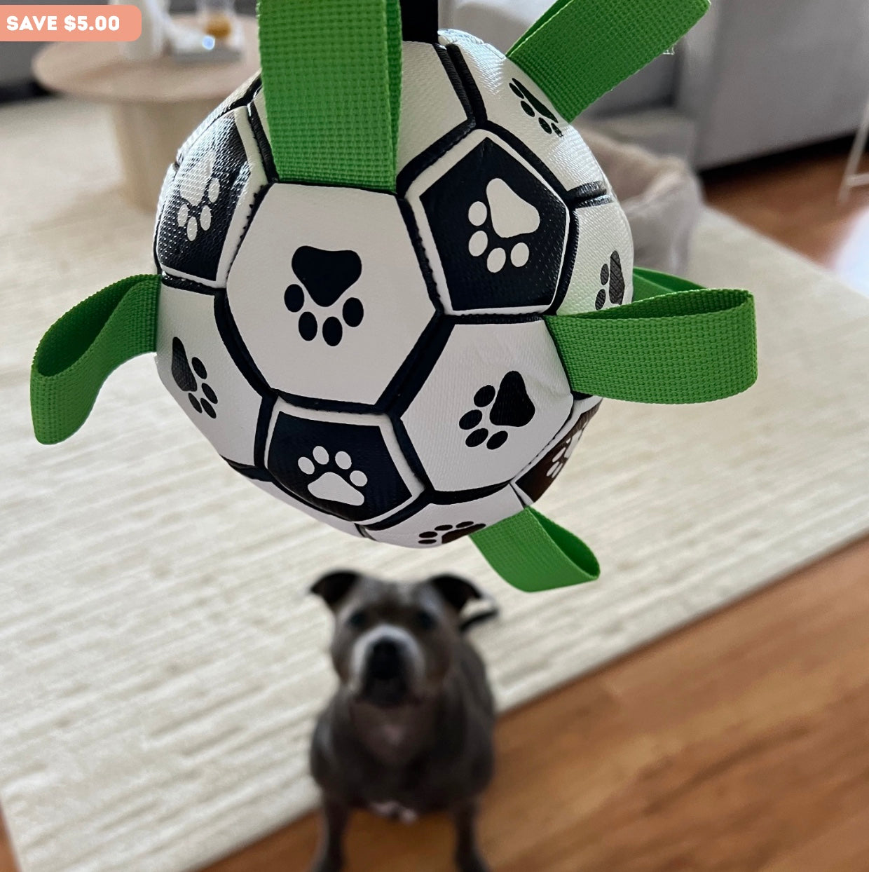 Ronaldog Soccer Ball