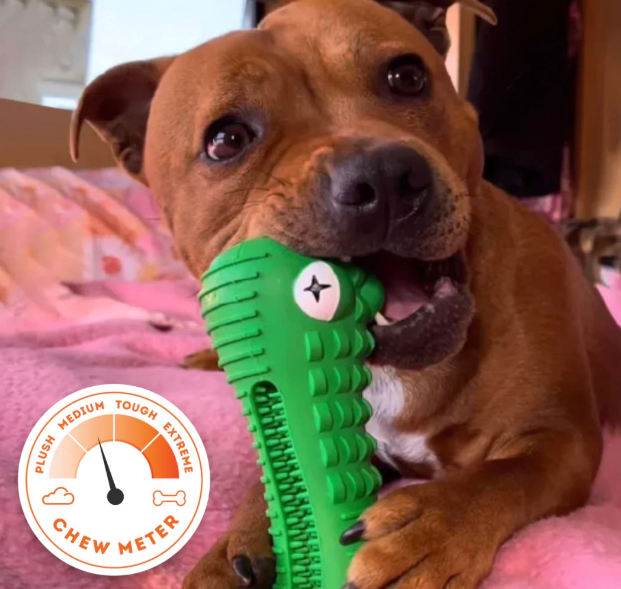 Crocodile Dental Chew