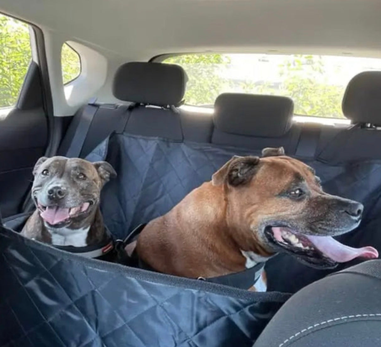 PREMIUM CAR SEAT PROTECTOR