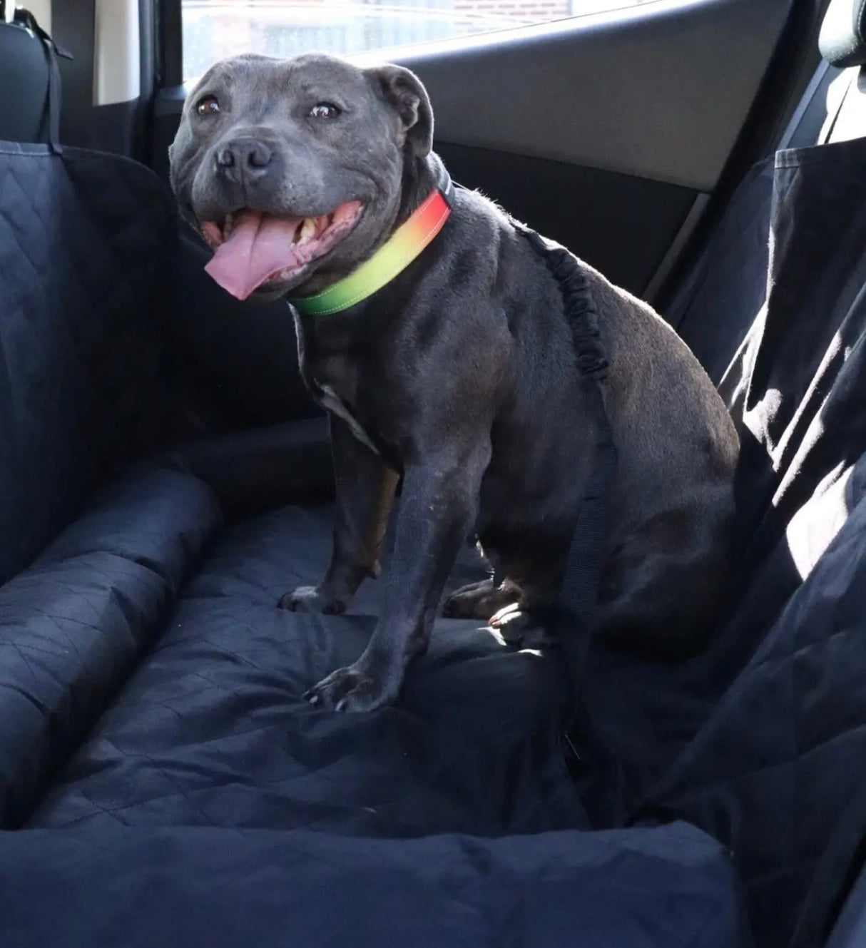 PREMIUM CAR SEAT PROTECTOR