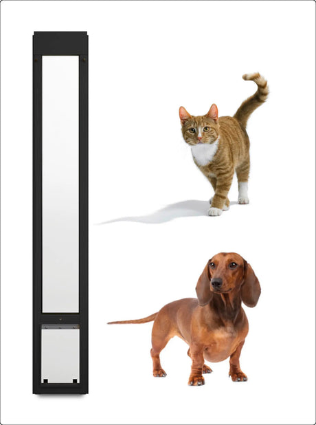 Dog Doors for Pet Lovers