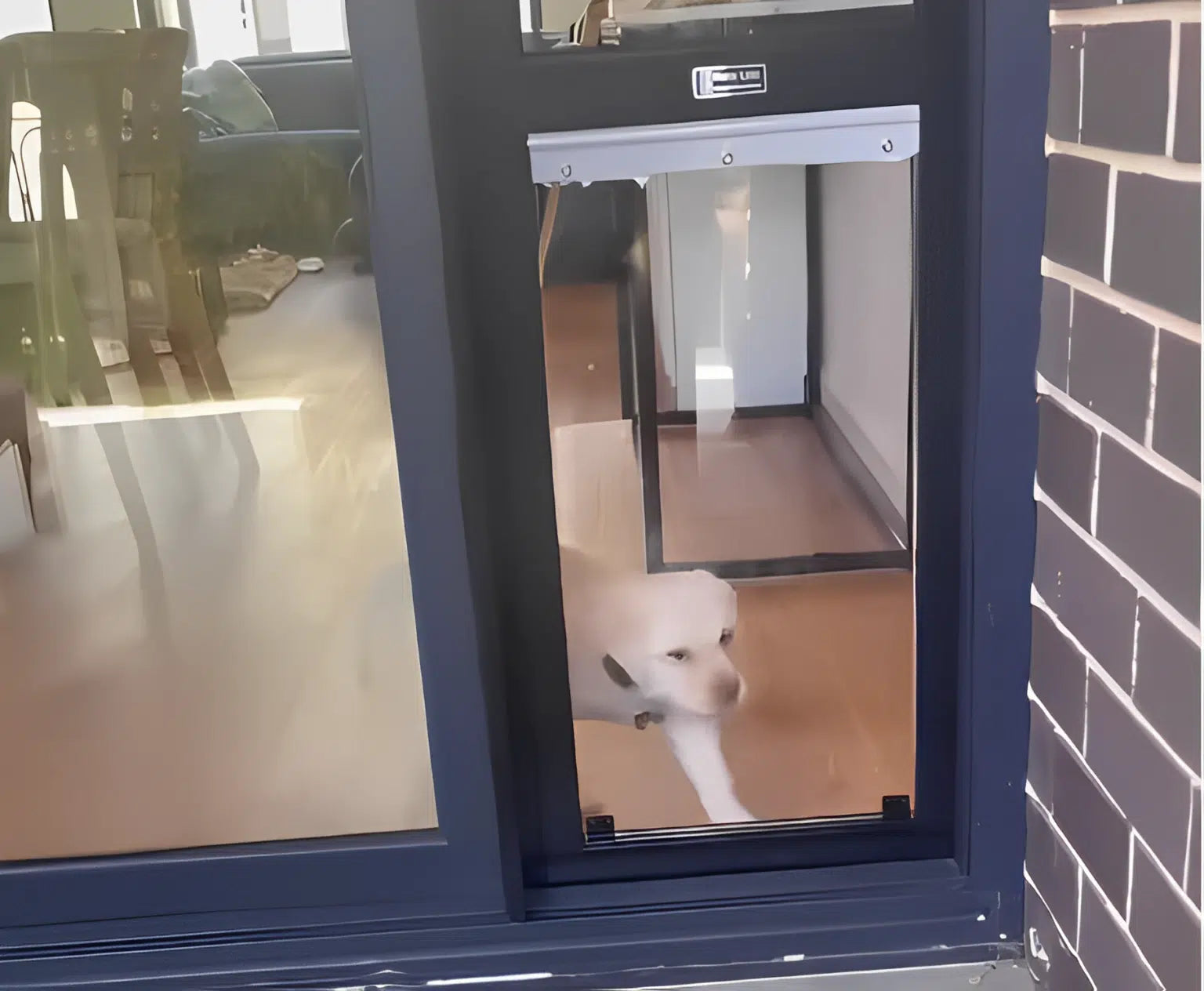 Pawsome Privacy: The Joyful Way Dog Door Inserts Uplift Security & Pet Play!