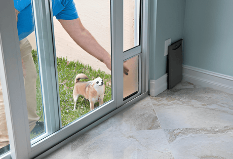 Common Misconceptions About Pet Doors and Pet Door Inserts