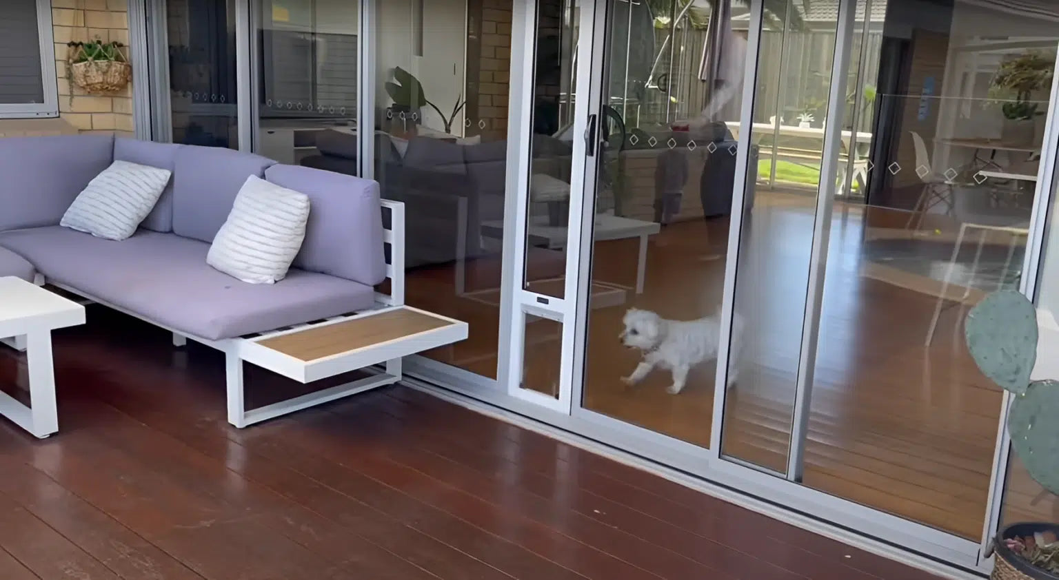 Pet-Friendly Homes: How Sliding Door Inserts Add Value and Convenience!