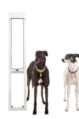 Pet Door Insert – Greyhound