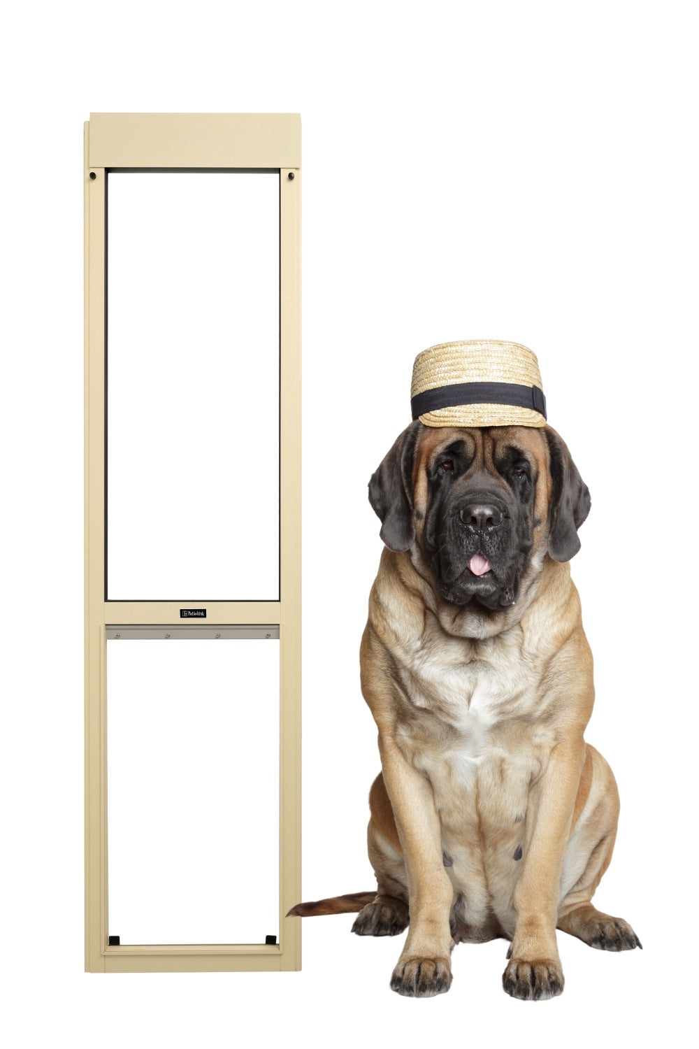 Pet Door Insert – Mastiff