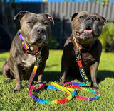 ANTI SHOCK BUNGEE LEASH