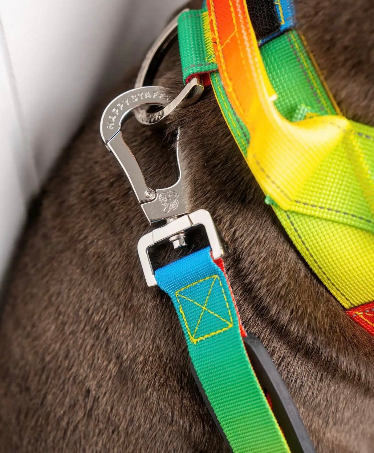 ANTI SHOCK BUNGEE LEASH