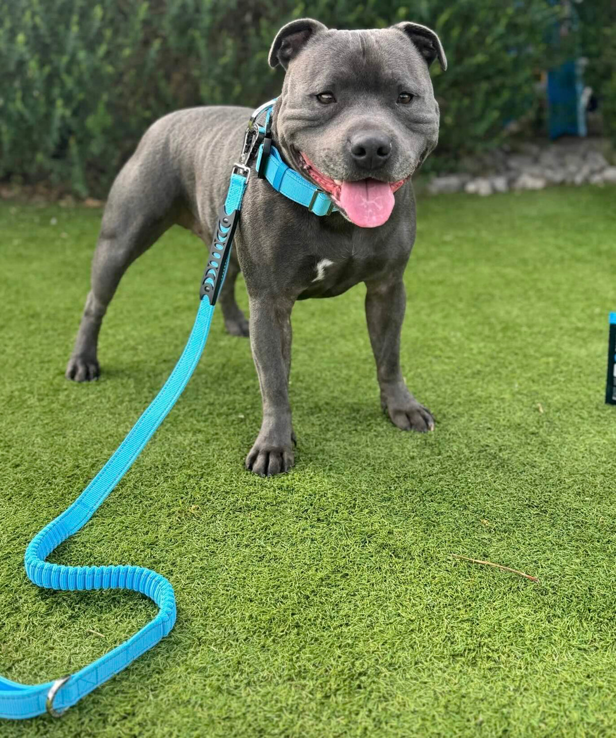 ANTI SHOCK BUNGEE LEASH