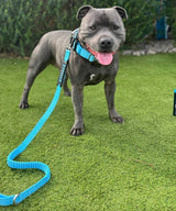 ANTI SHOCK BUNGEE LEASH