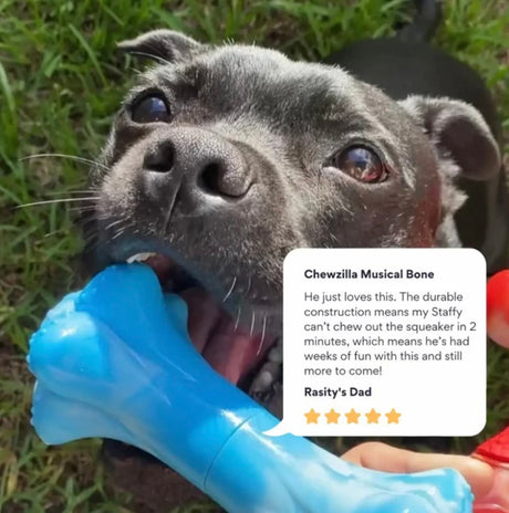 CHEWZILLA MUSICAL BONE