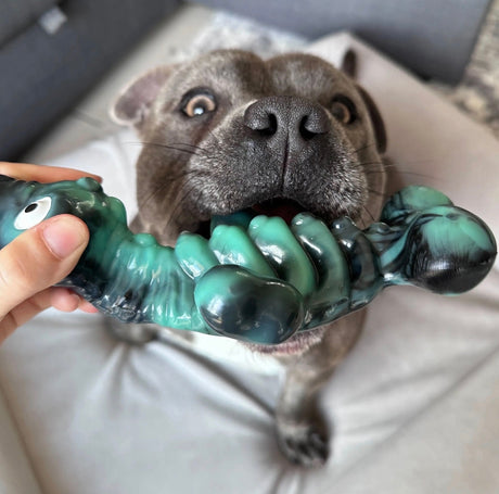 CHEWZILLA SEA CHOMPER