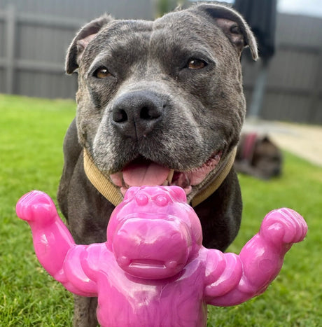 CHOMP-O-POTAMUS