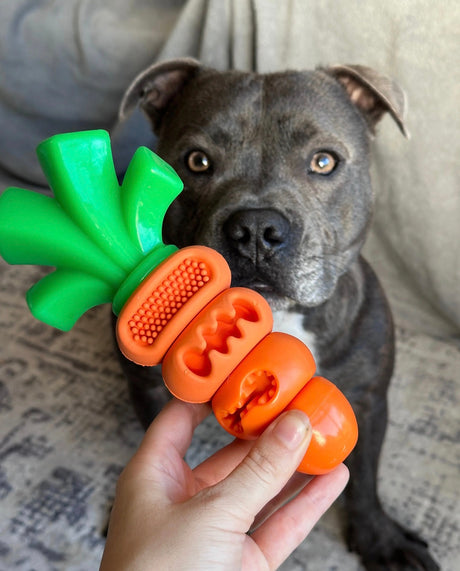 CHOMP CARROT
