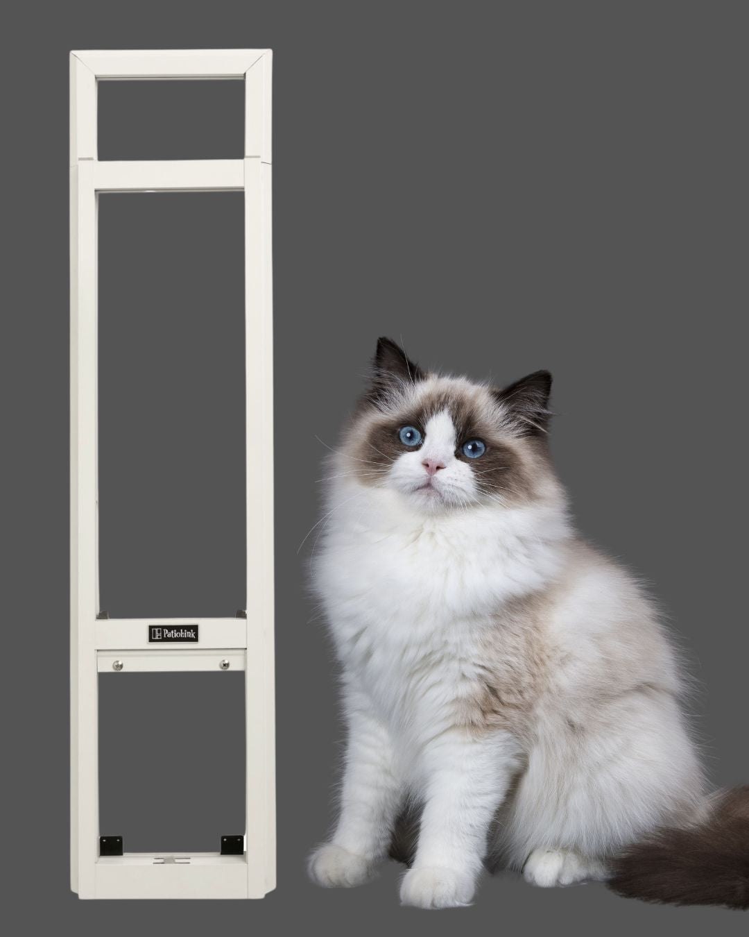 Cat Door, Cat Window Insert