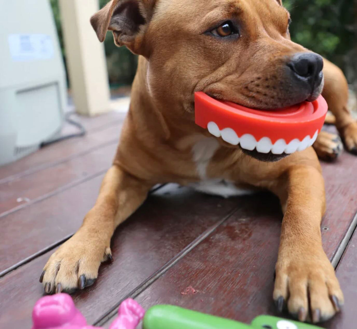 Chatter Chompers