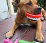 Chatter Chompers