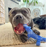Chewzilla Gator