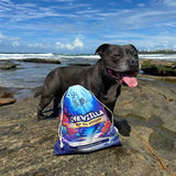 Chewzilla® Deep Sea Mission  (5 Toys included)