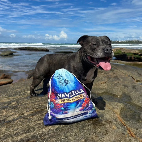 Chewzilla® Deep Sea Mission  (5 Toys included)