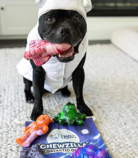 Chewzilla® Galactic Quest Collection