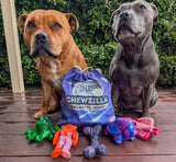 Chewzilla® Galactic Quest Collection