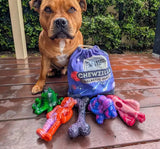 Chewzilla® Galactic Quest Collection