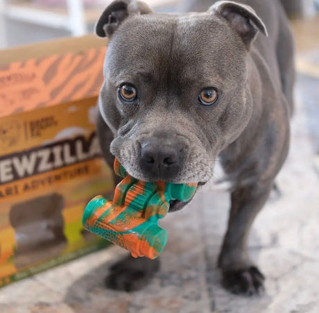 Chewzilla® Safari Collection (5 toys)