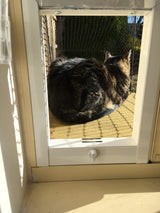 Cat Door, Cat Window Insert