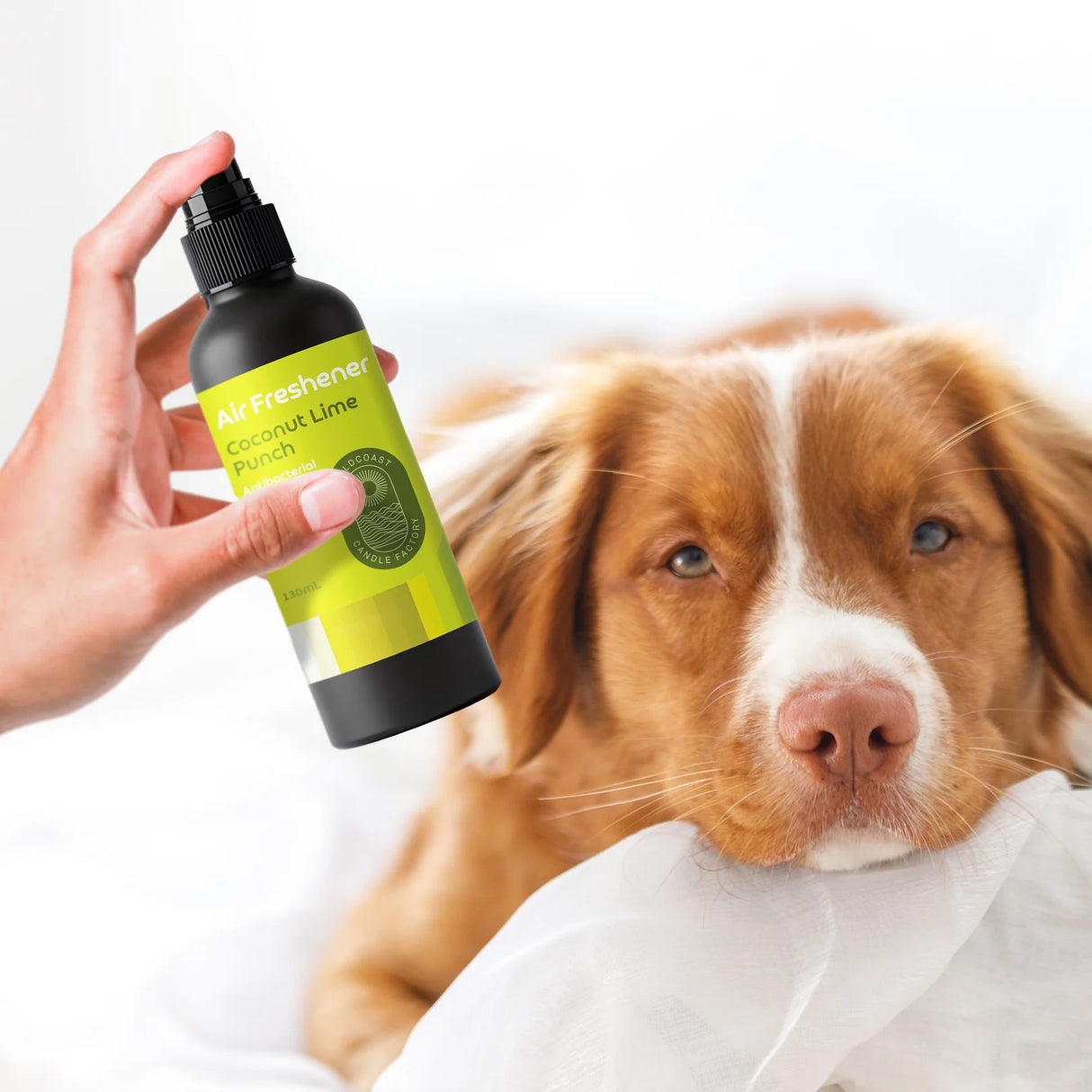 Coconut & Lime Air Freshener 130ml